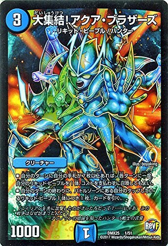 Amazon.co.jp: デュエルマスターズ 大集結！アクア・ブラザーズ